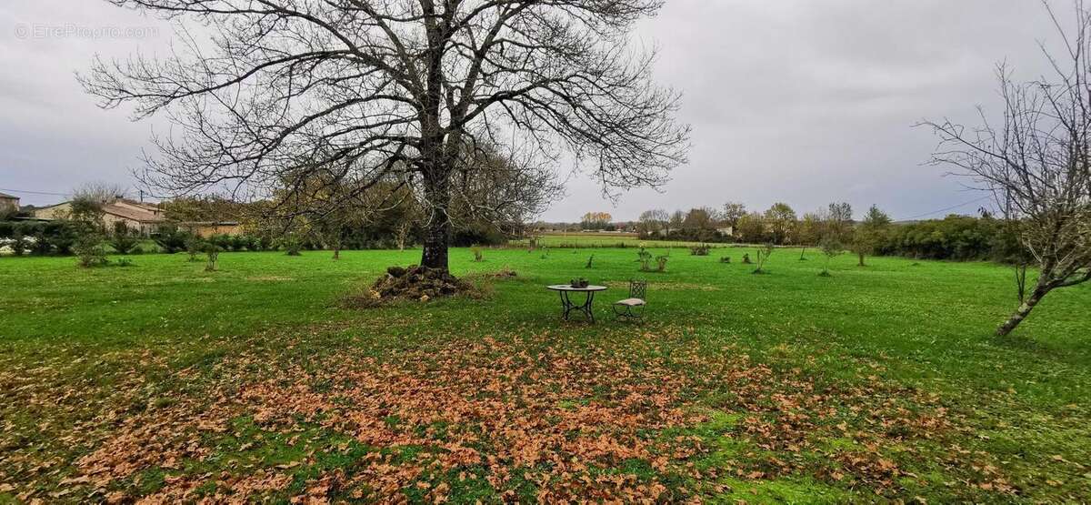 Maison à SAINT-ANDRE-DE-CUBZAC