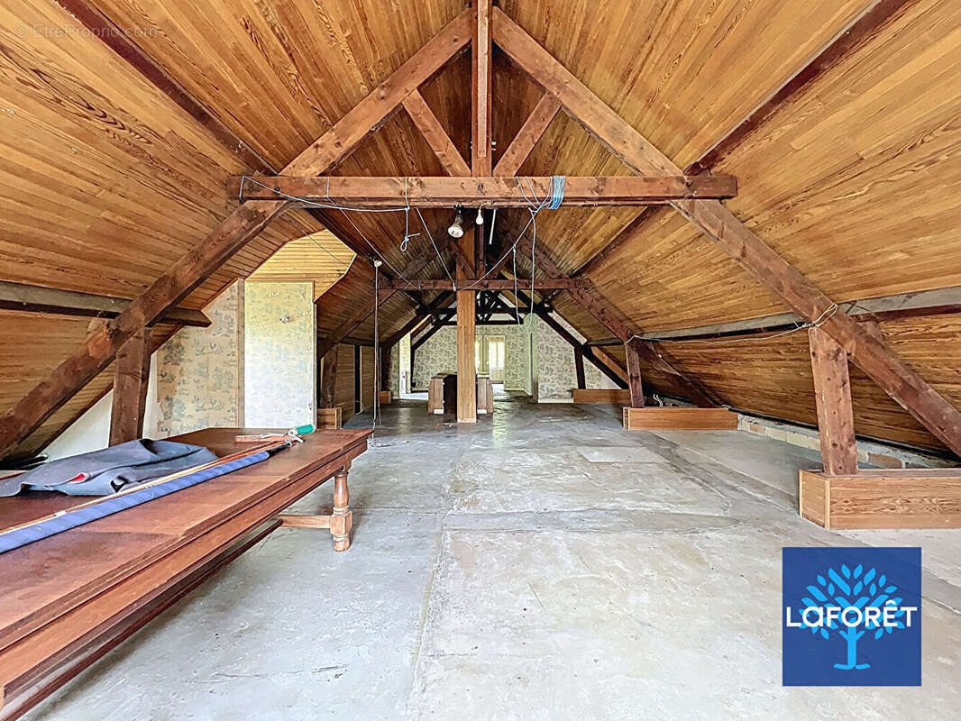 Maison Boutigny-sur-Essonne 11 pièces, 8 chambres, 11 418 m² de terrain boisé, cave totale, garage - photo 17