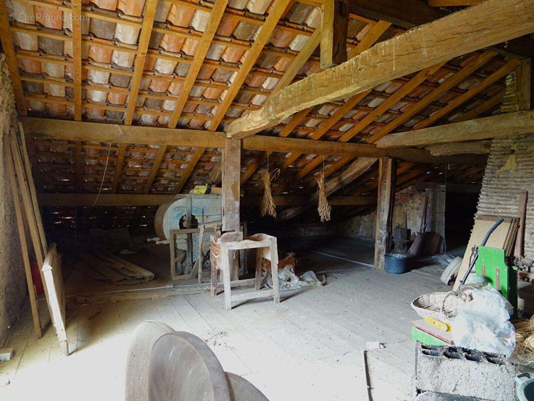 Landes 40250 Caupenne, propriété 21 ha avec habitation et dépendances - photo 9