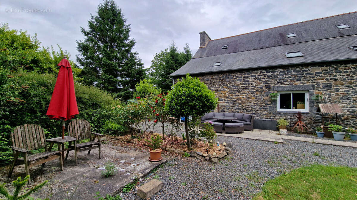 Maison à COLLINEE