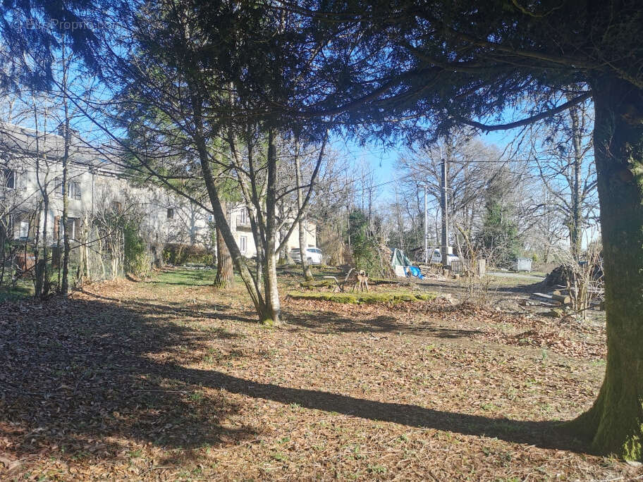 Maison à LA SALVETAT-SUR-AGOUT
