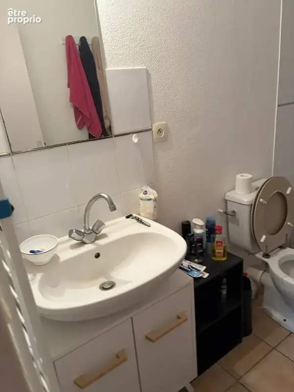 Maison T2 vendue louée - Investissement locatif sécurisé ! - photo 5