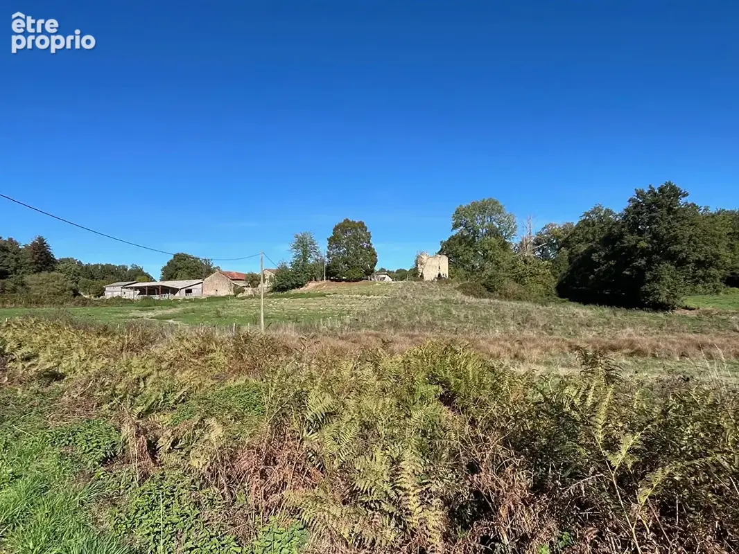 Corps de ferme Cheronnac 33 hectares 2 maisons etang dépendances agricoles - photo 28