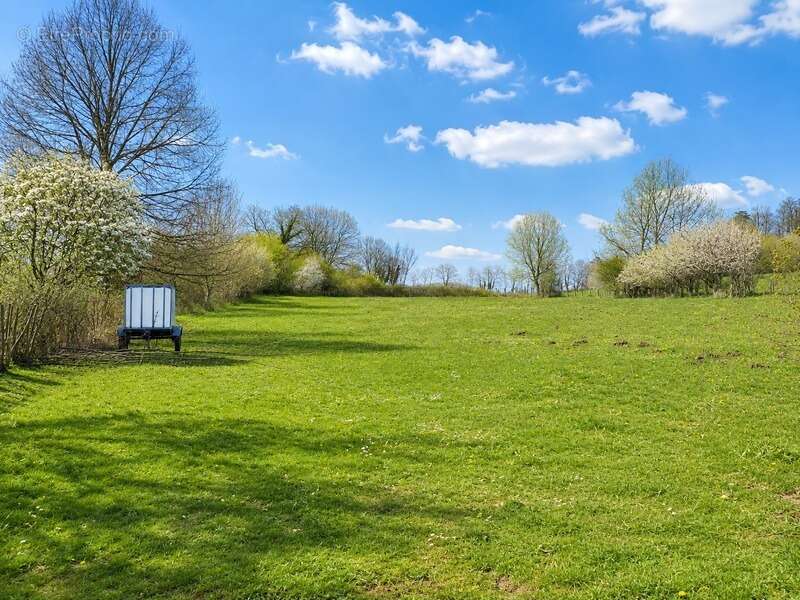 Propriété Dauphinoise 190 m² — 1,2 hectare — Box chevaux — Charancieu - photo 14