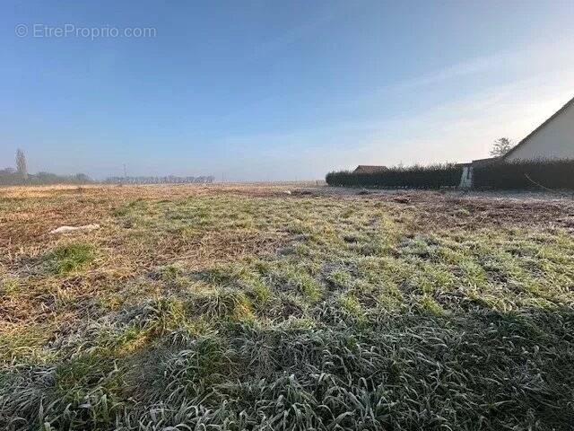 Terrain à PONTHOILE
