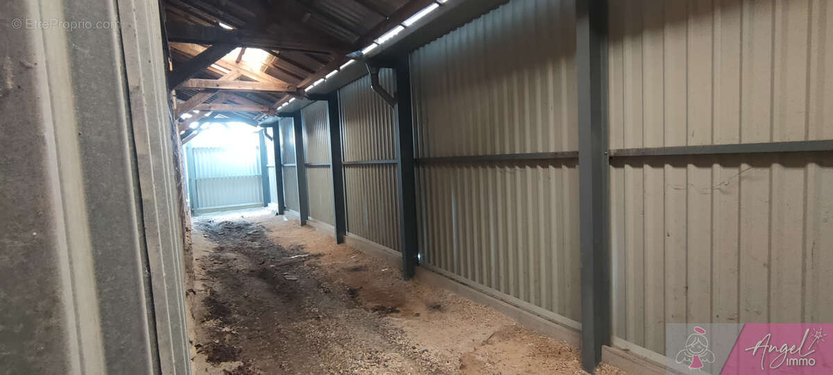 Appartement à GENEUILLE