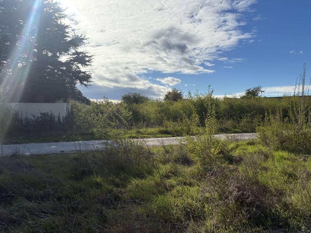 Terrain à VAISON-LA-ROMAINE