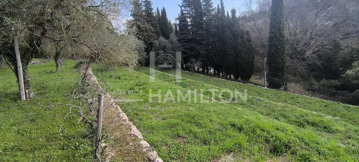 Terrain constructible - photo 4