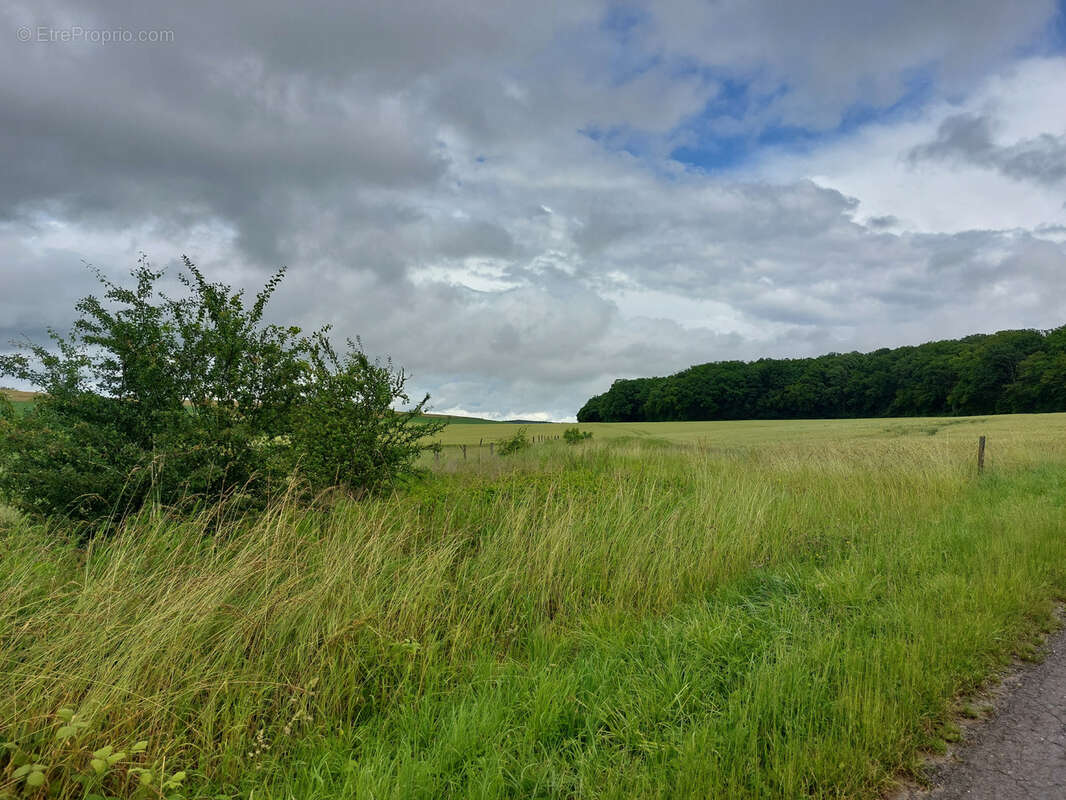 Terrain à FLASTROFF