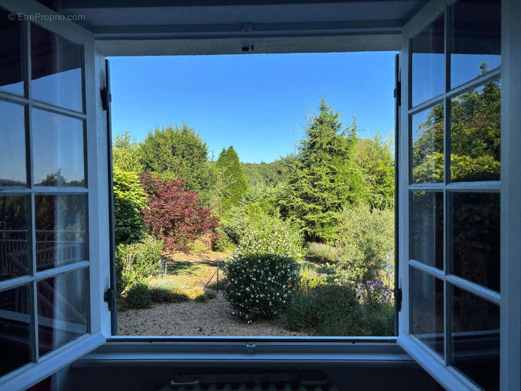 Garden - Maison à JUMILHAC-LE-GRAND