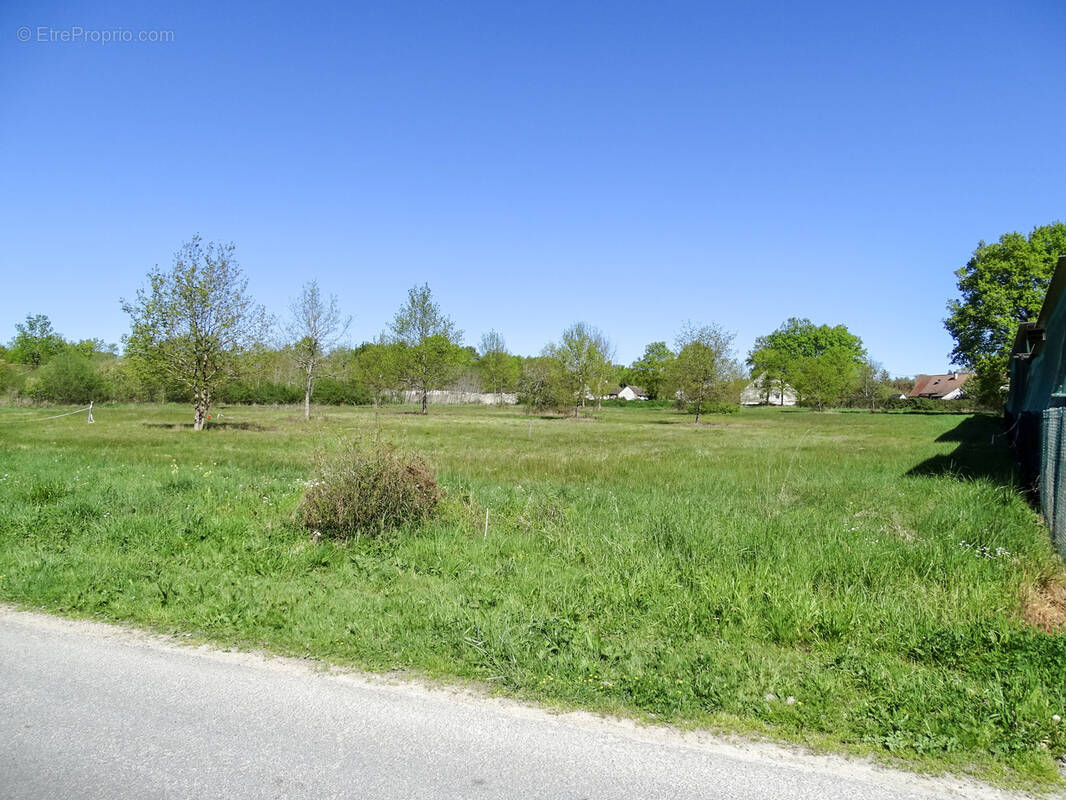 Terrain à VILLEFRANCHE-SUR-CHER