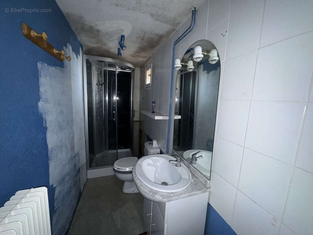 Photo 8 - Maison à AMPLEPUIS