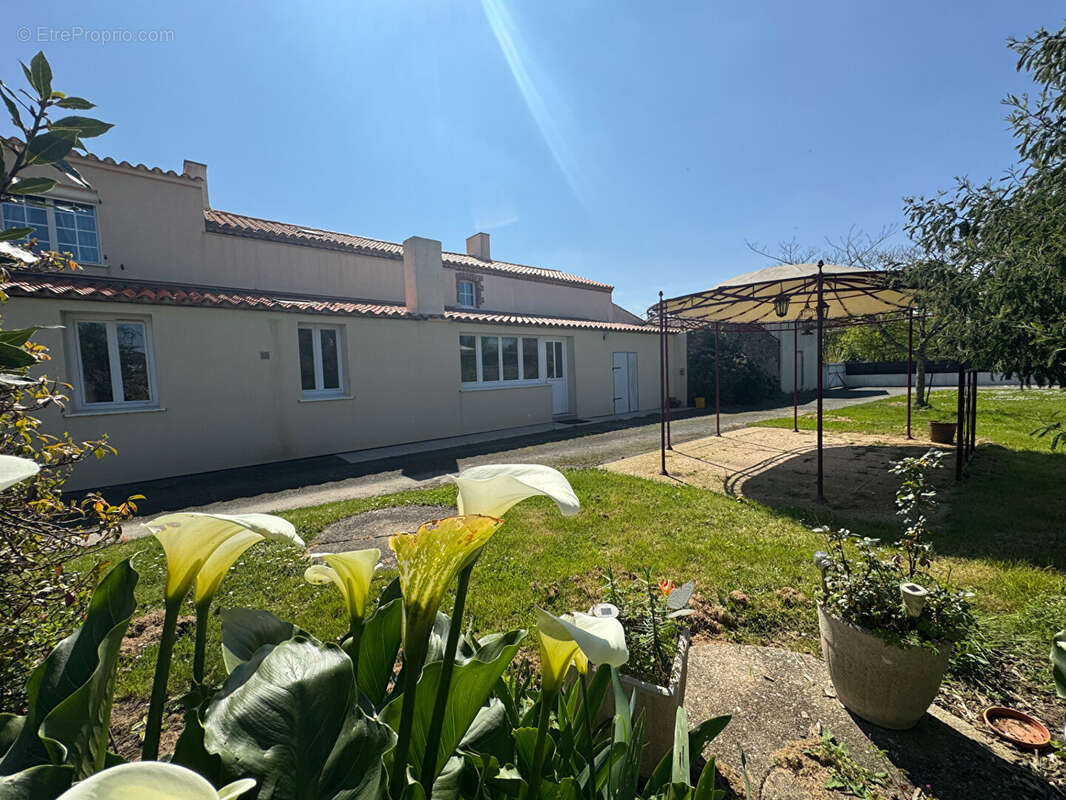 AIZENAY, maison 5 chambres et grandes dépendances sur 2 535 m2 de terrain - photo 2