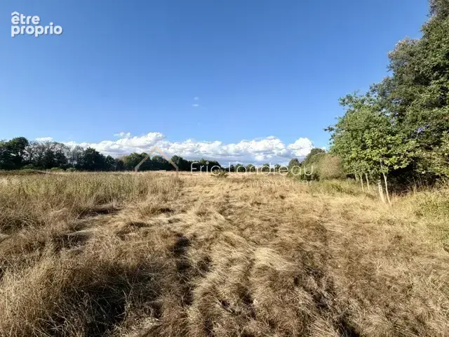 À vendre   plan d’eau avec terrain de 2,65 hectares   à proximité de l’océan et d’un lac - photo 6