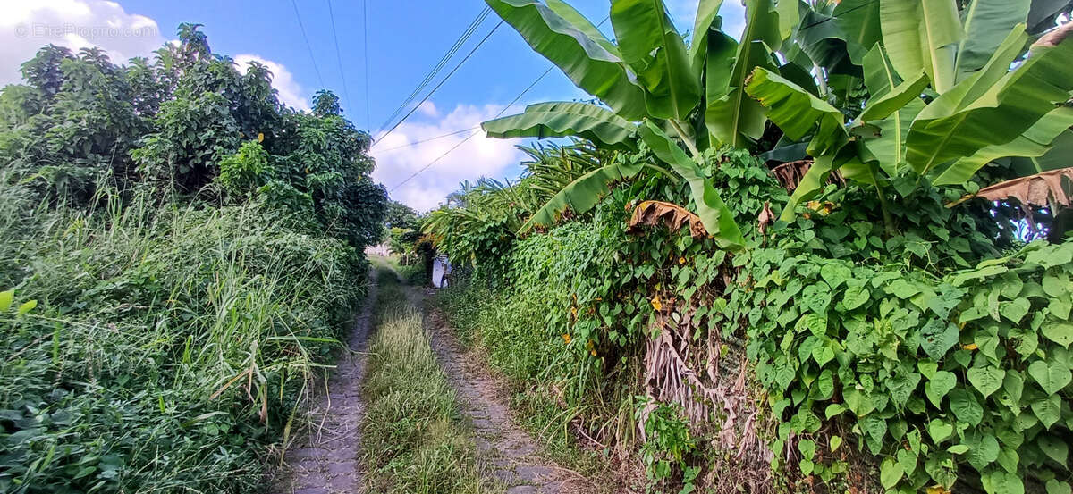 Maison à CAPESTERRE-BELLE-EAU
