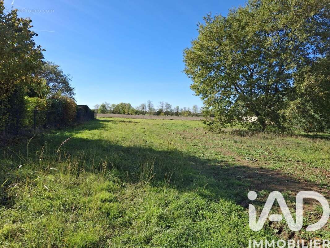 Photo 3 - Terrain à BRESSOLS