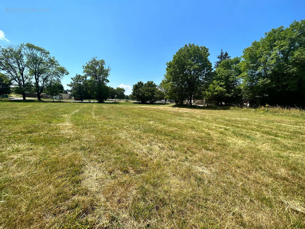 Terrain à SAINT-SAUVEUR-CAMPRIEU