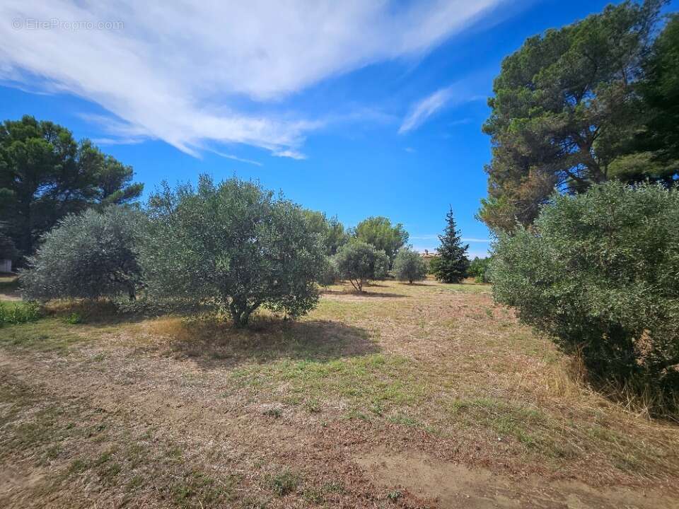 Terrain 472 m² à Saint-Chamas  - photo 4