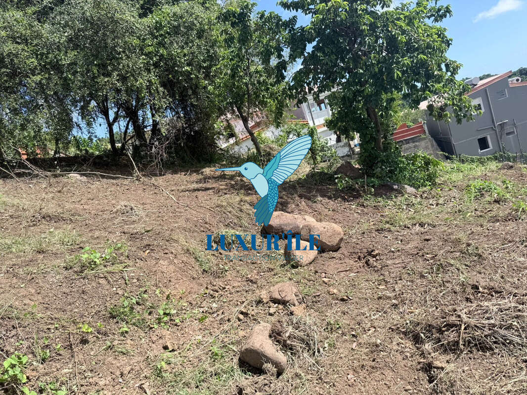 Terrain à LE FRANCOIS