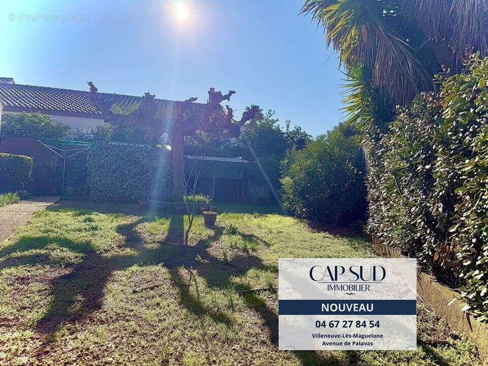Maison à VILLENEUVE-LES-MAGUELONE