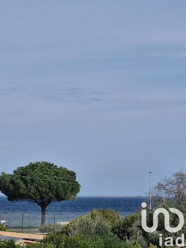 Photo 1 - Appartement à MARSEILLAN