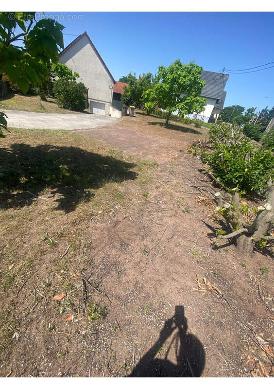 Terrain à HAGUENAU