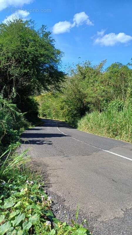 Terrain à BELLEFONTAINE