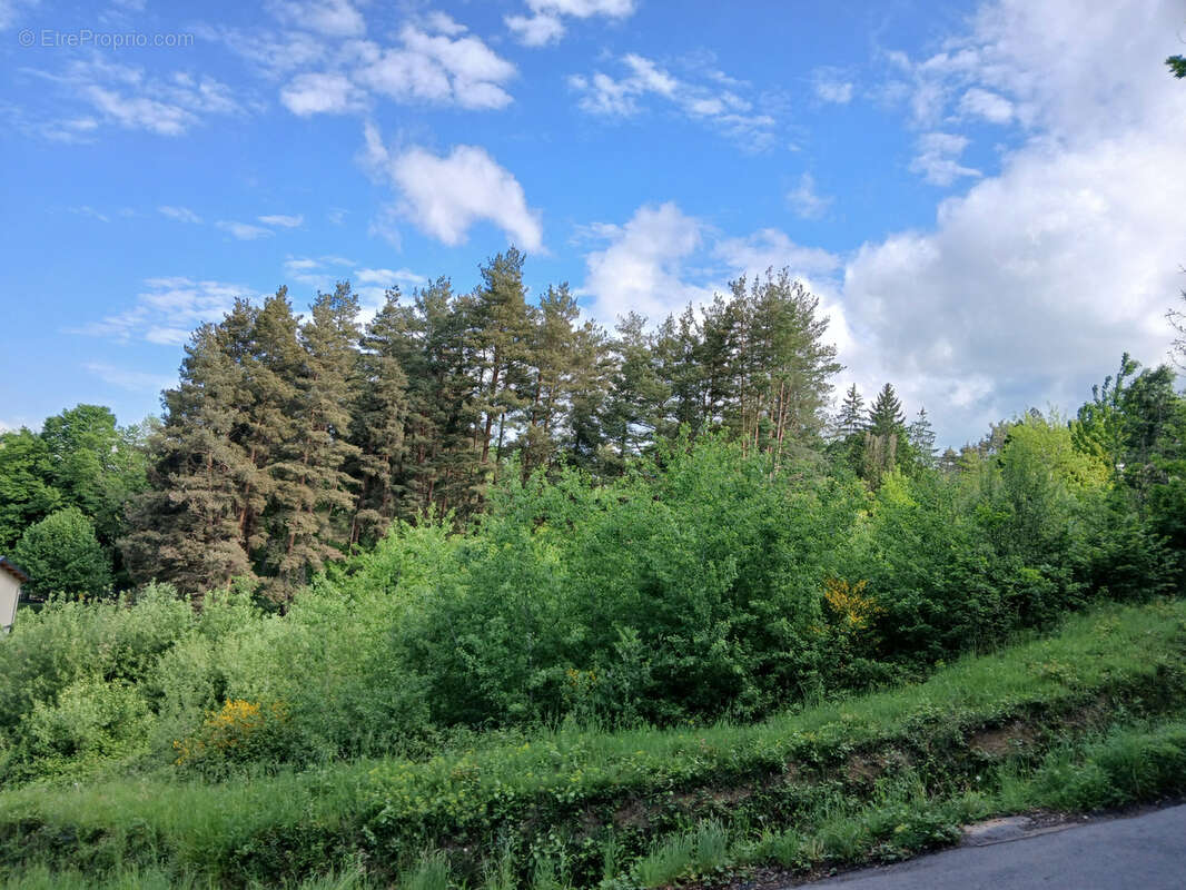 Terrain à COURPIERE