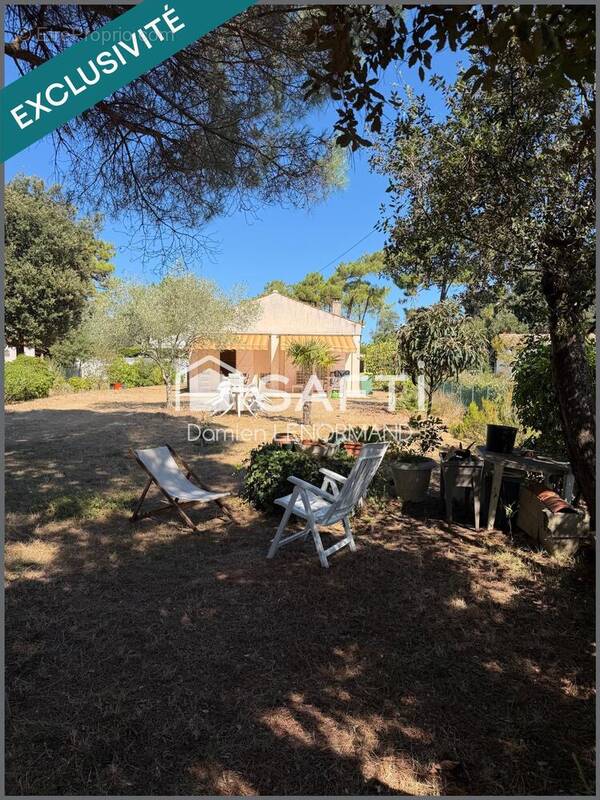 Photo 1 - Maison à SAINT-GEORGES-D'OLERON