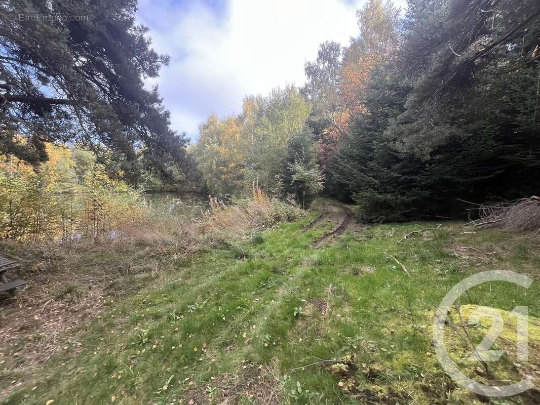 Terrain à BURDIGNES