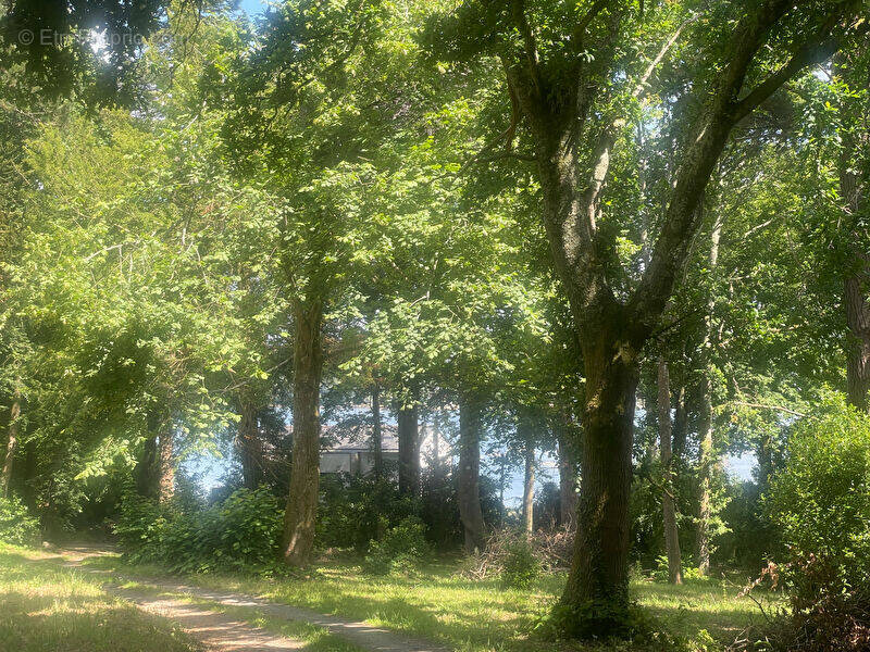 Terrain à LE RELECQ-KERHUON