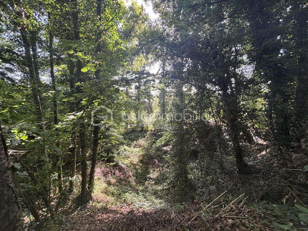 Terrain à SAINT-ANTOINE-DU-ROCHER