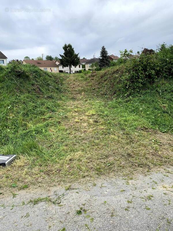 Photo 1 - Terrain à MAINSAT