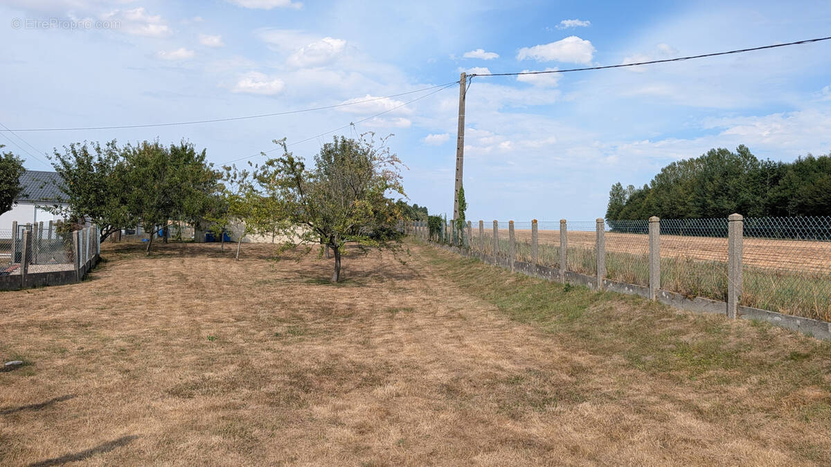 Terrain à GRUCHET-LE-VALASSE