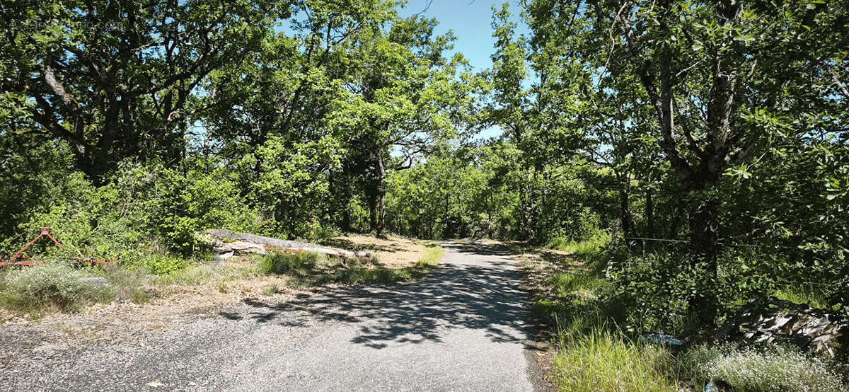 Propriété agricole sur environs 22 hectares de bois et de prairie. - photo 12