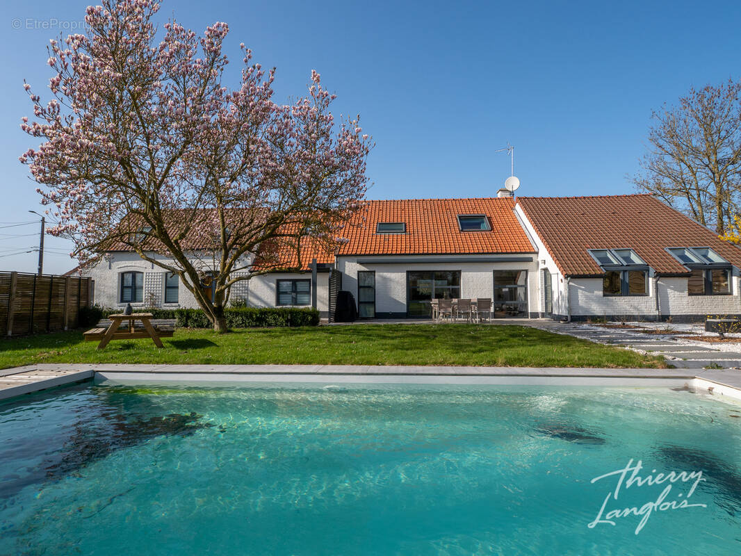 Maison à ORCHIES