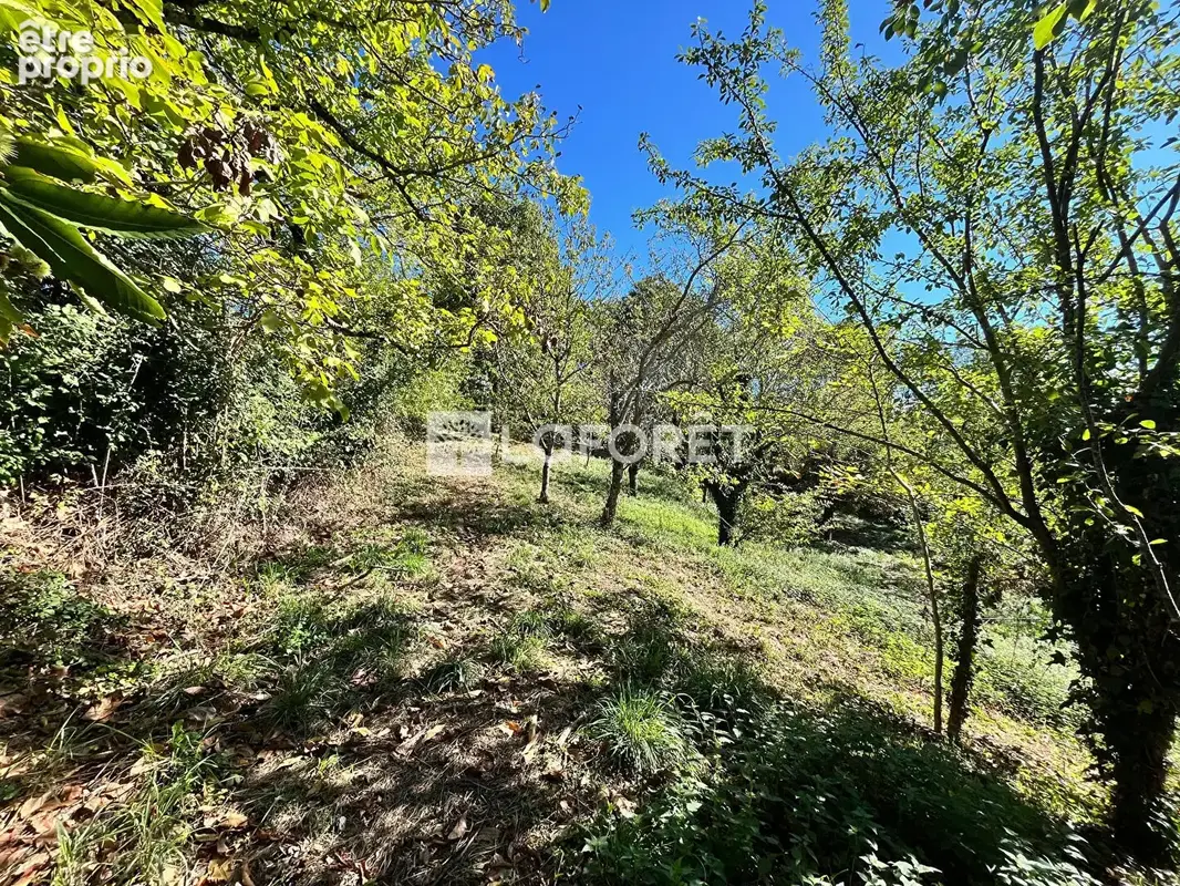 Vallon de pruines: corps de ferme avec 4600 m2 * vigne et verger* - photo 11