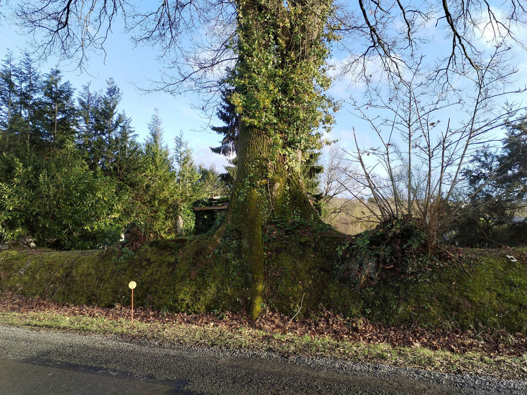 Terrain constructible 500 m2 - photo 5