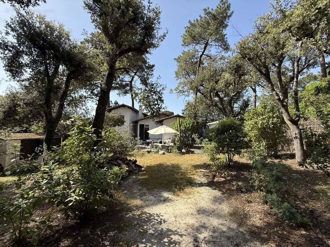 Maison à LE BOUSCAT