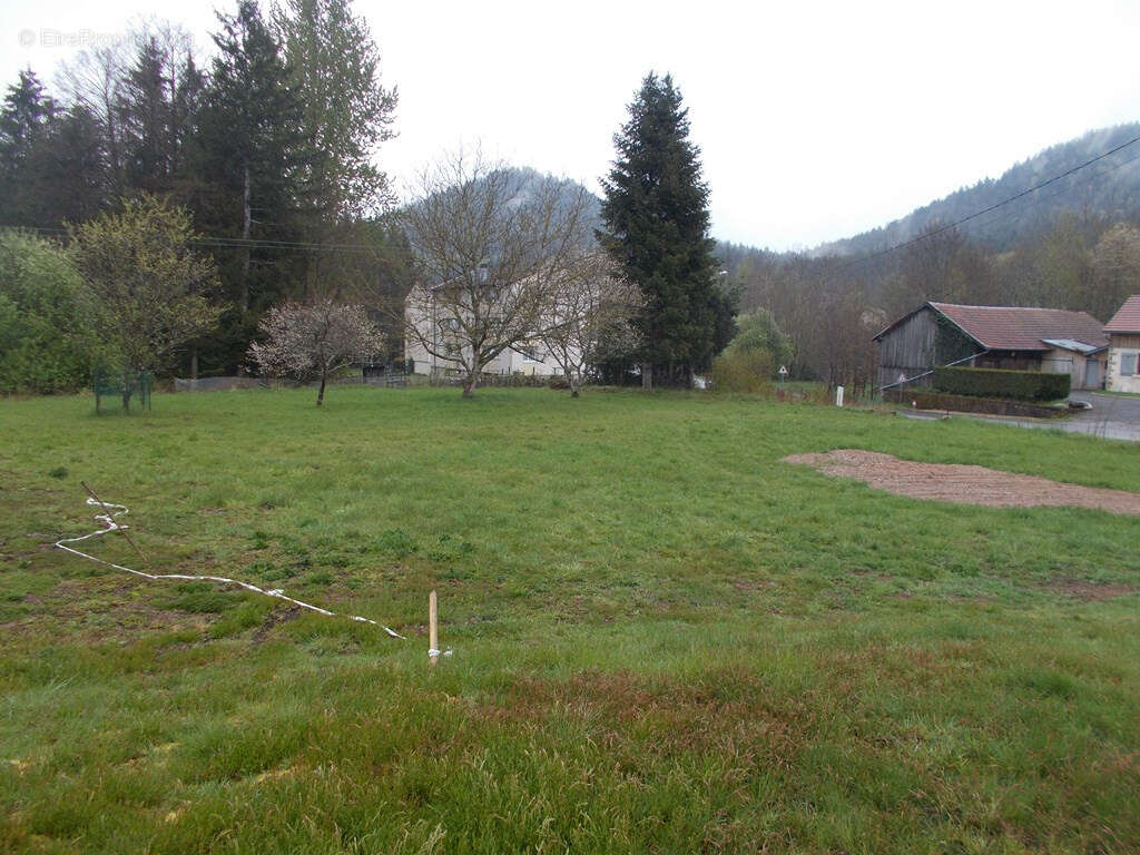 Terrain à LA BOURGONCE