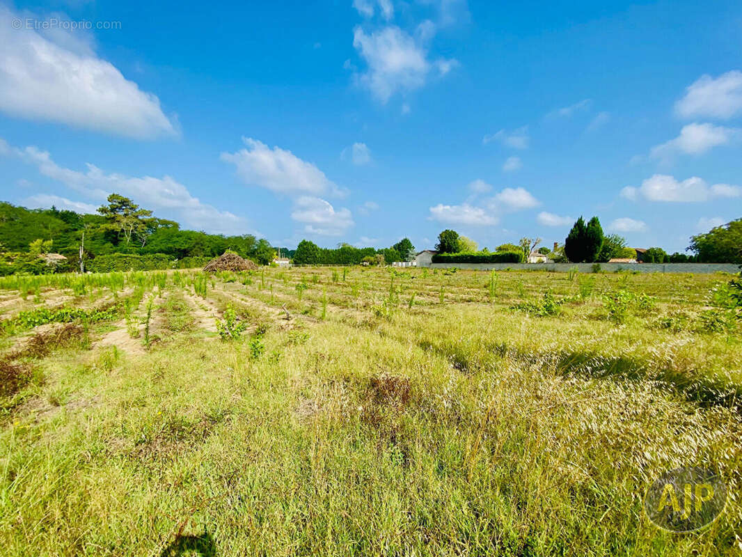 Terrain Saint Germain D Esteuil 2200 m2 - photo 4