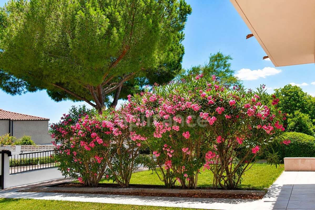 Villa méditerranéenne à vendre 7 pièces, 215 m² CANET EN ROUSSILLON (66) avec potentiel 2 logements, terrasses, jardin et garage - photo 21