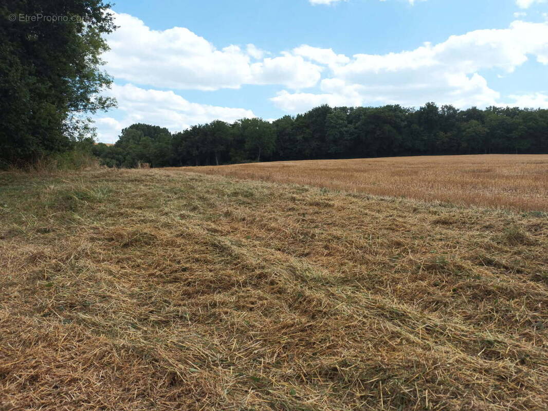 Terrain à DOUCHAPT