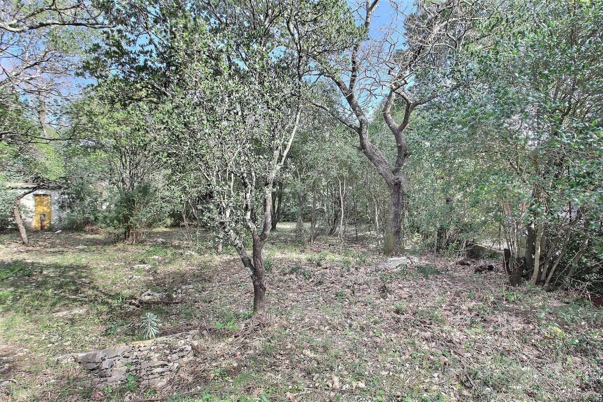 Terrain à VIOLS-LE-FORT