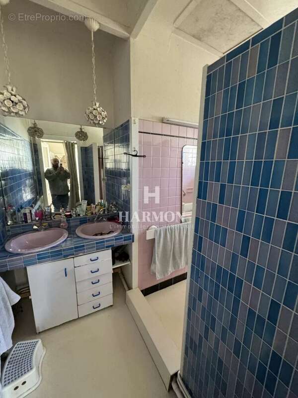 Harmon a vendre : propriété a Magescq - photo 38