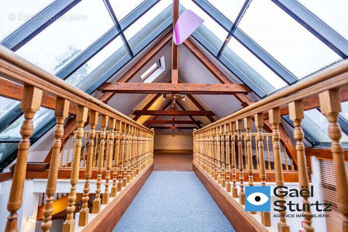 Commerce à STRASBOURG