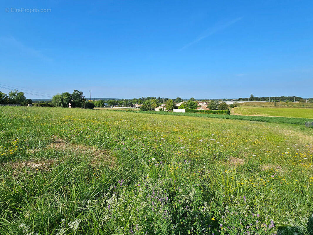 Terrain à LA COURONNE