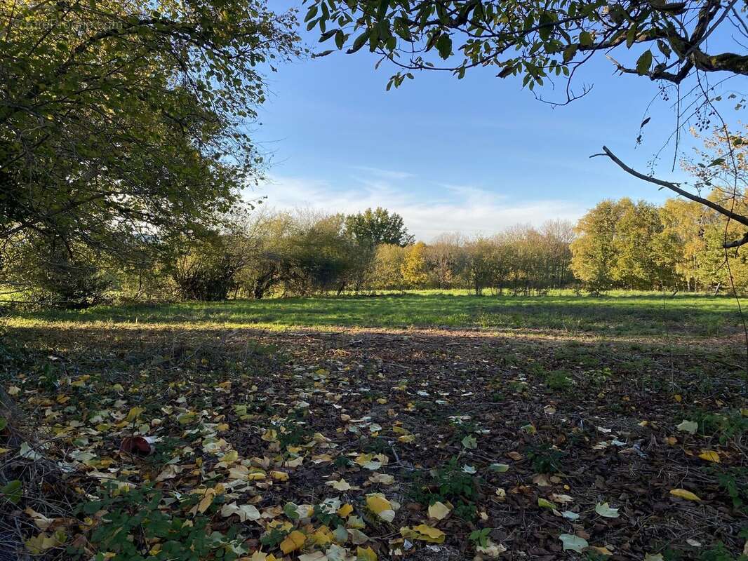 Maison à NEUVIC-ENTIER