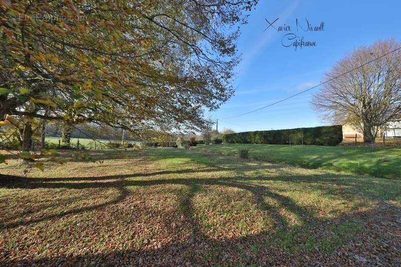 Maison à SAINT-AMOUR