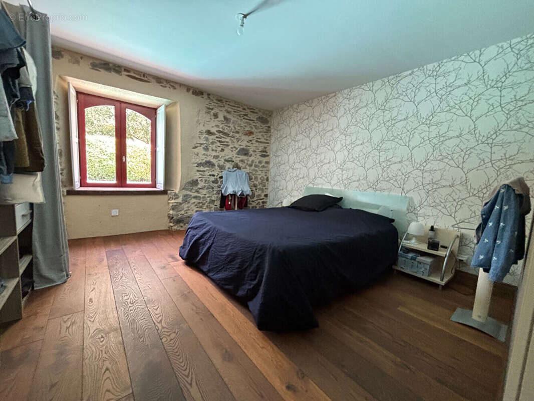 Segre en anjou bleu maison de 294 m² - photo 7